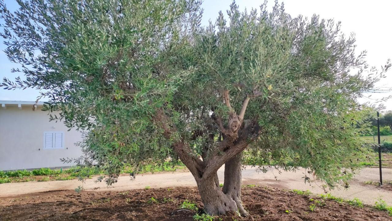 Le Zagare Di Vendicari Villa Lido di Noto Eksteriør billede